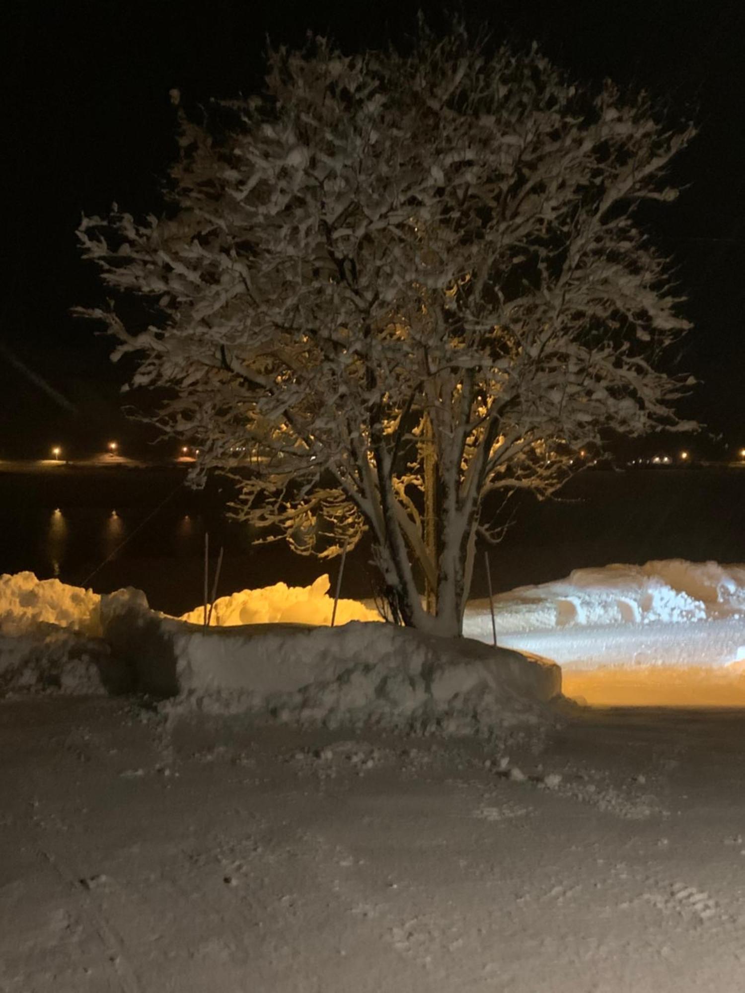 Liten Leilighet Inkludert Frokost Valberg Extérieur photo